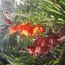  ,  -  14  2011   RoadKing