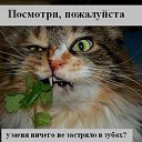 ���� ������, �������, 40 ��� - ��������� 13 ������� 2009 � ������ ����������� ��������, ������� ����������