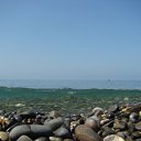 ���� ������, �������, 56 ��� - ��������� 22 ������� 2010 � ������ ��� ����