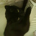 ���� Djon, ����, 52 ���� - ��������� 28 ������� 2010 � ������ ���� ����� � �������� �����.�