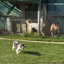 ���� Maryana, ������ - ��������� 9 ������ 2010 � ������ ��������� "������"�