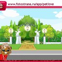  , , 26  -  11  2010   PetLove