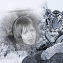 ���� �������, �������, 46 ��� - ��������� 10 ������ 2012 � ������ ���� ����������