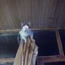 ��� ������ ����� ��... �� ������� �������