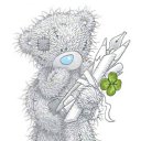 ���� "@����", �����-���������, 25 ��� - ��������� 8 ��� 2010 � ������ �Teddy�