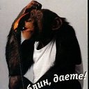 ���� ����, ��������� - ��������� 18 �������� 2011