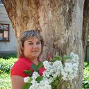 ���� ���������, ������ ��������, 49 ��� - ��������� 27 ���� 2012 � ������ ���� ����������