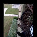 ���� ����, ������, 48 ��� - ��������� 8 ���� 2011 � ������ ����