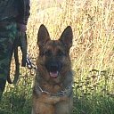 ������ ��������� �� ������� �������