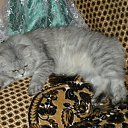 ���� Svetlanas, ���������, 47 ��� - ��������� 7 ���� 2010 � ������ ���� �������