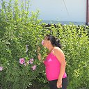 ���� �����, ������ - ��������� 28 ���� 2013