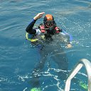 ���� ������, �����-���������, 66 ��� - ��������� 4 ����� 2013 � ������ ���� ����������