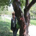 ���� ������ �����, �����������, 66 ��� - ��������� 4 �������� 2012 � ������ ���� ����������