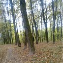  Al., , 51  -  1  2012    