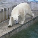 ���� ������� �����, ����������� - ��������� 29 ���� 2011 � ������ �������