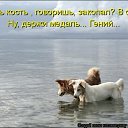  , , 50  -  28  2011   ))))))