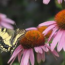 ���� �����, �����-��������� - ��������� 28 ����� 2013 � ������ ���� ����������