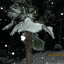 ���� Aik, �������, 67 ��� - ��������� 4 ����� 2012 � ������ ������.����.������