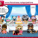 ���� ��������*���*, ������, 41 ��� - ��������� 9 ������� 2011 � ������ �PetLove�