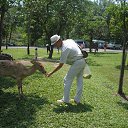 �������, �������� ������� �� ������� ���� ����������