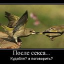 ���� Nightwalker, ������, 42 ���� - ��������� 23 ������ 2010 � ������ ��Light in the House��
