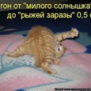 ���� ����, �������� - ��������� 18 ������ 2012 � ������ �������