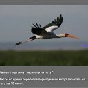���� ����, ������, 49 ��� - ��������� 10 ������� 2011 � ������ ����������� ����ۻ
