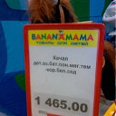 ���� ������, ������, 43 ���� - ��������� 13 ������� 2010 � ������ �������