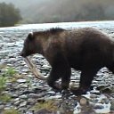 ���� ��������, ���������, 70 ��� - ��������� 15 ����� 2013 � ������ �� ������ � ��������� �����