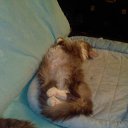 ���� �� ������� ���� ���������