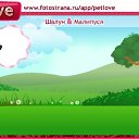 ���� ���� �������, ����, 44 ���� - ��������� 16 ��� 2011 � ������ �PetLove�