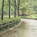 ���� �����, ����� - ��������� 29 ������ 2013 � ������ ����� �� ������� ���˻