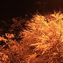 ���� Jouri, ������-��-���� - ��������� 24 ������ 2013 � ������ ��������