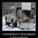 ���� ���������, ������������ - ��������� 24 ������ 2012 � ������ ���� ����������