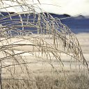 ���� ������, �������, 55 ��� - ��������� 25 ������ 2011 � ������ �������-�������. 2011�