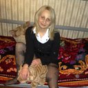 ���� �������, ������� �����, 38 ��� - ��������� 15 ���� 2013 � ������ ���� ����������