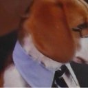 ���� "@����", �����-���������, 25 ��� - ��������� 26 ������� 2010 � ������ �Catc &amp; Docs�