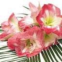 ���� ����� - ���������� ��������!!!, �����������, 56 ��� - ��������� 16 ������ 2010 � ������ ������ۻ