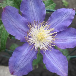 ���� ����, ������, 46 ��� - ��������� 11 ������� 2012