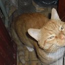 ��� ������� ����� �� ������� ����� ��� ������������