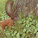 ���� ��������, �����-���������, 37 ��� - ��������� 9 ������� 2012 � ������ ������ ����� �����