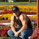  , -, 50  -  23  2011    