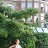 ���� Marina, ������ - ��������� 16 ������ 2012
