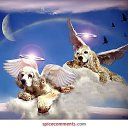 ���� �����, �������, 39 ��� - ��������� 2 ������� 2010 � ������ �������