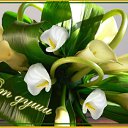 ���� ������, ������, 59 ��� - ��������� 13 ���� 2012 � ������ �����ۻ