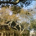 ���� ���������, �����, 51 ��� - ��������� 15 ������ 2010 � ������ ��������. ������ 2010�