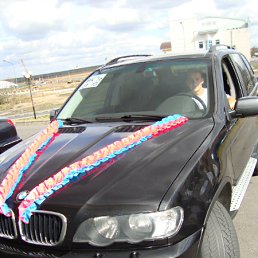 ���� �����, ������ �����, 41 ��� - ��������� 16 ���� 2010