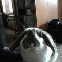 ���� �������, ������, 74 ���� - ��������� 21 ����� 2010 � ������ ���������