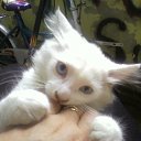 ���� Aleksandr:), �����������-��-�����, 54 ���� - ��������� 7 ���� 2010 � ������ ����� � ������