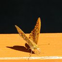 ���� Serg, ����� - ��������� 23 ������� 2009 � ������ ���������